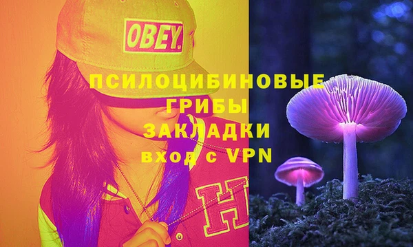 трава Арсеньев