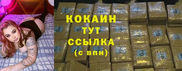 трава Арсеньев