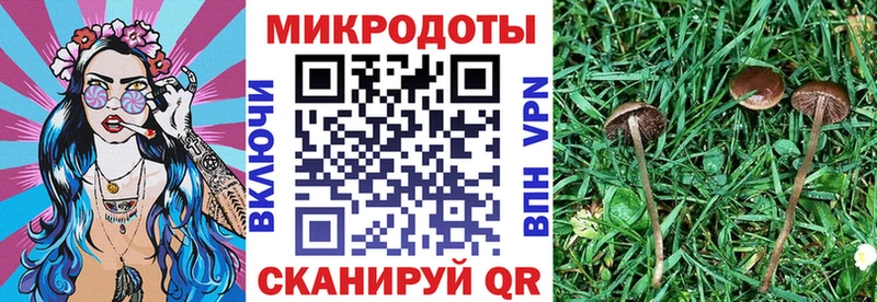 Галлюциногенные грибы MAGIC MUSHROOMS где купить наркоту Усть-Джегута